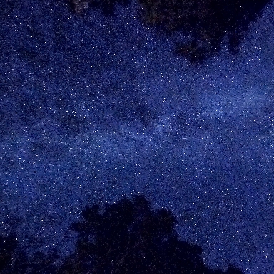 Sky above Roaring Brook Campground