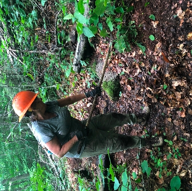 Volunteer raking materials.