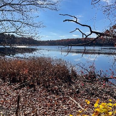 Kendrick Pond in Cutler Park