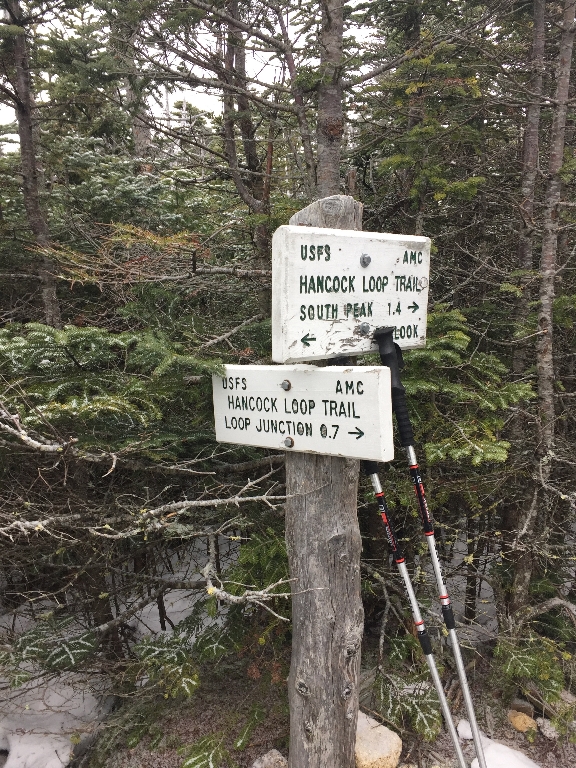 On the Mt Hancock Trail