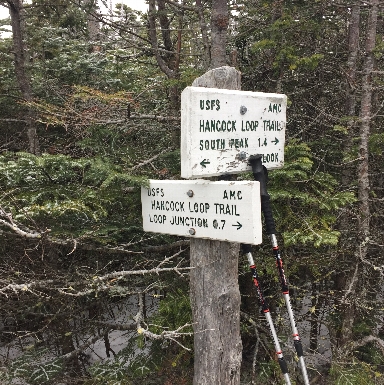 On the Mt Hancock Trail