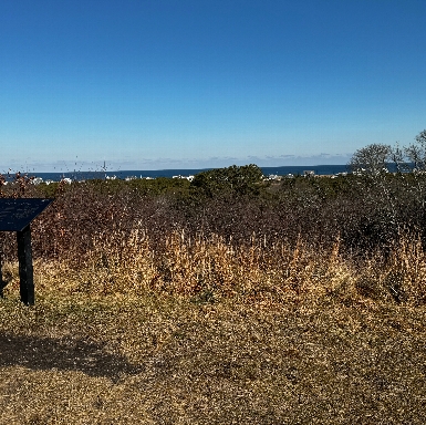 Sagamore Hill