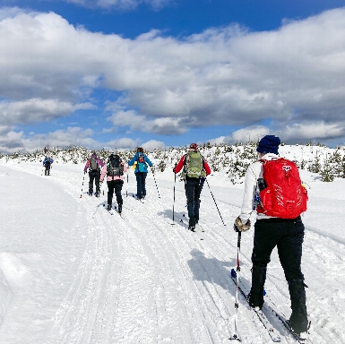 AMC Ladies Lodge Ski Trip