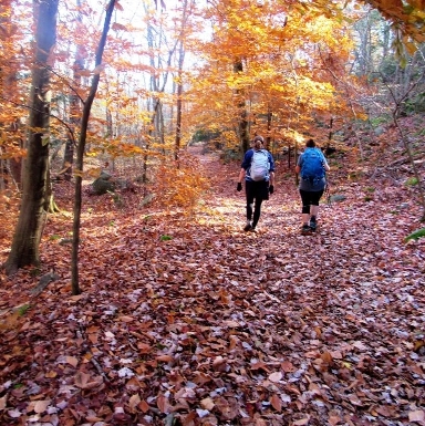 Blue Hills - Autumn View