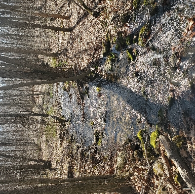 Stream long Blue Trail at Sleeping Giant State Park