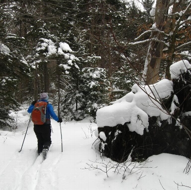 Nordic backcountry skiing