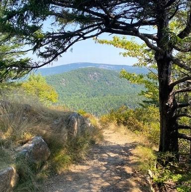 Hiking along Beech Mountain in Acadia National Park.