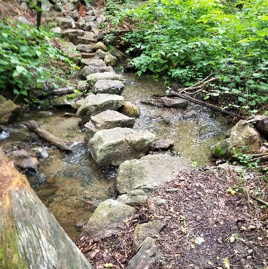 Streaming crossing on a trail in Manitou Point Preserve