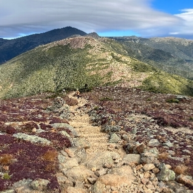 View from the summit of Mt. Eisenhower looking north