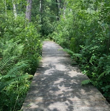 boardwalk trail