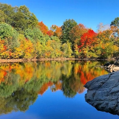 Fall at Eagle Pond, Callahan State Pond