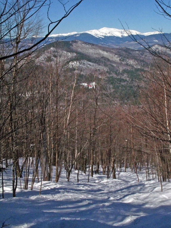 View from the top of glade