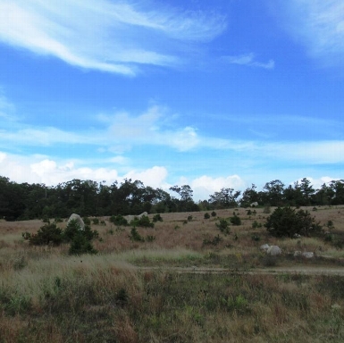 Great Sky and Landscape