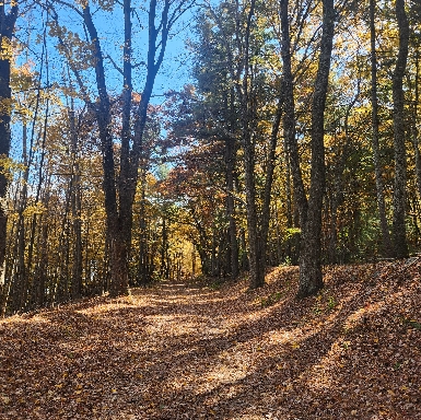 Fall Hike