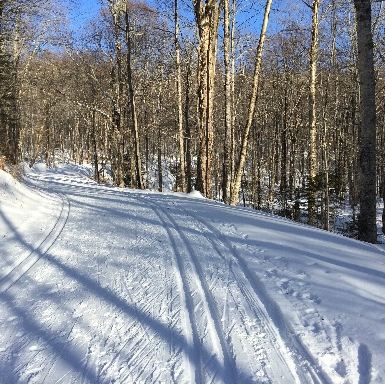 Ski Tracks