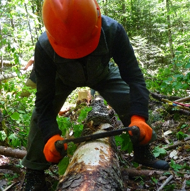 Peeling logs for use on trail.