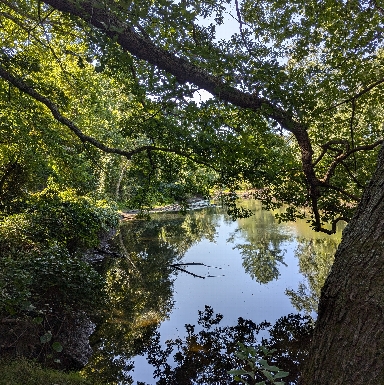 Charles River, Medfield, MA