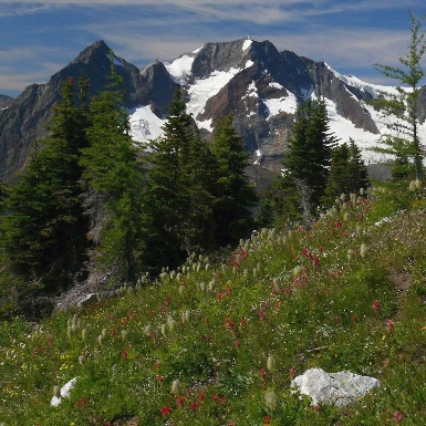 The beauty of the Purcell Wilderness Conservancy