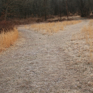 Tyler State Park