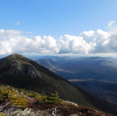 Bigelow range