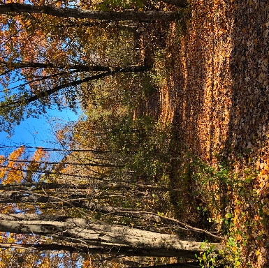 Beaver Brook North Reservation