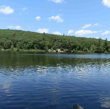 Mohawk Pond