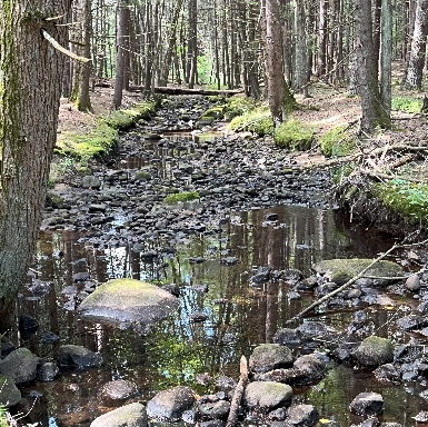 Lane Conservation Area - North County Land Trust Lunenburg, MA