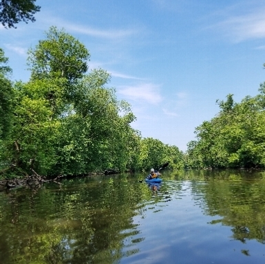 Paddle South Branch