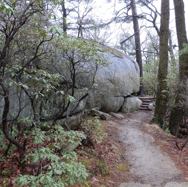 Appalachian Trail