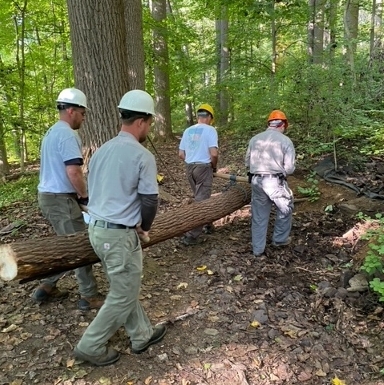 Trail Work- Valley Forge National Historical Park