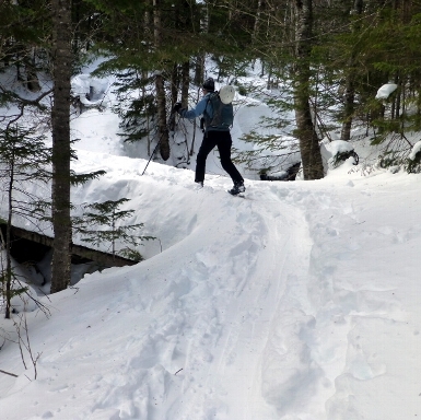 Avalanche Brook Skier on the the bridge over the eponymous Avalanche Brook