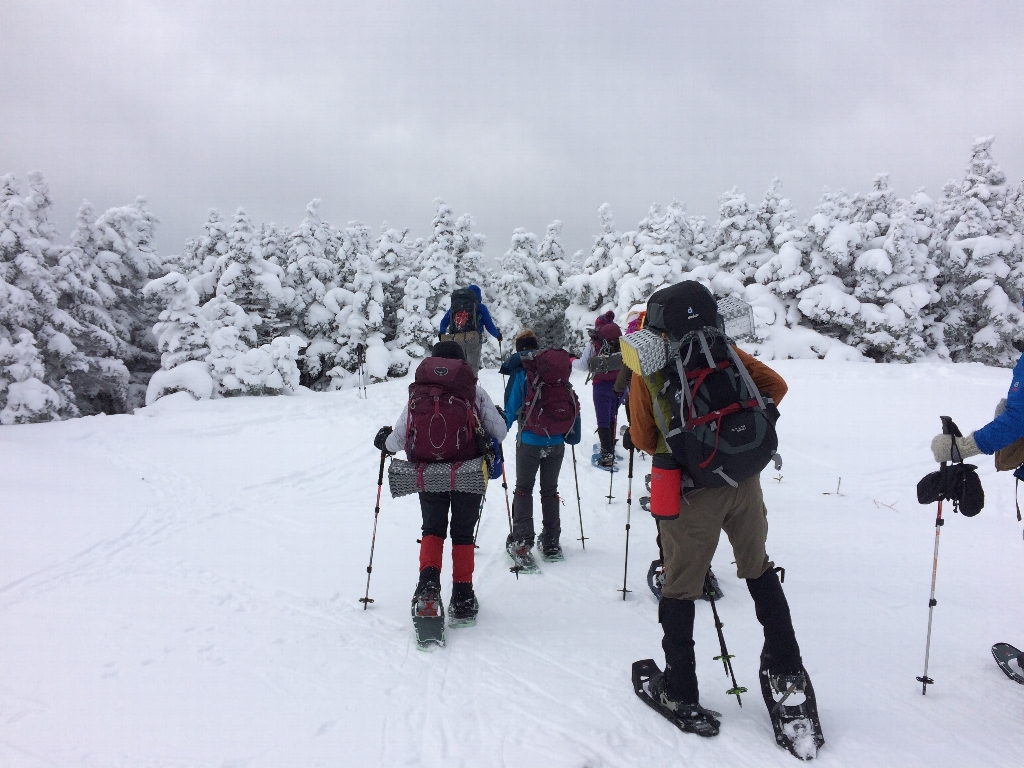 Winter Snowshoeing