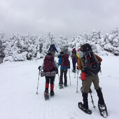 Winter Snowshoeing