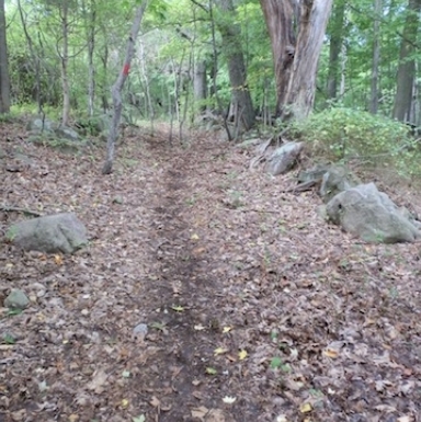 The Red Trail along Farm Brook Reservoir at West Rock Ridge State Park.