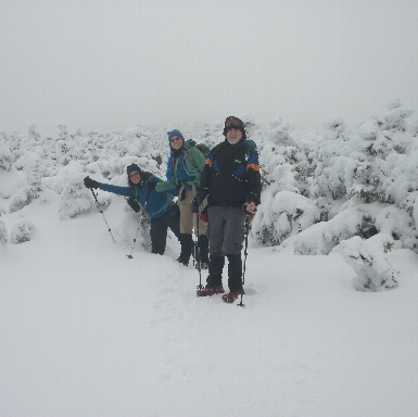 Winter Hikers