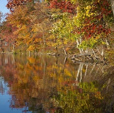 Catfish Pond