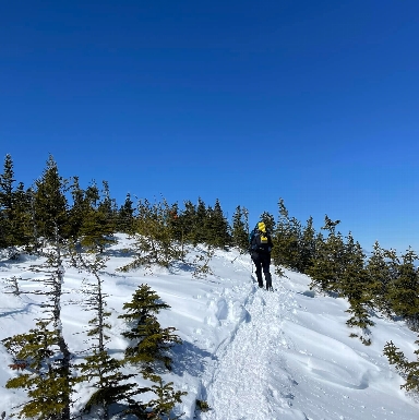 Signal Ridge on Carrigain