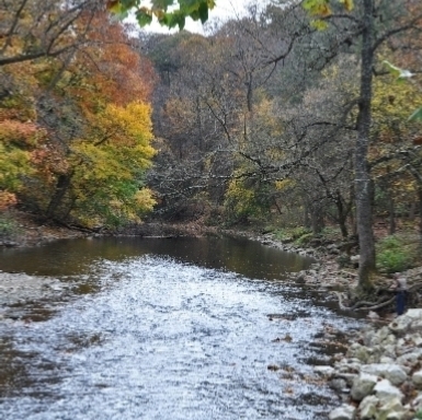 Wissahickon Gorge in the fall