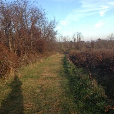 Groomed Trail on the Lorimer Preserve