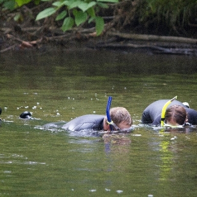 river snorkeling