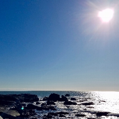 Winter Solstice at Sachuest Point