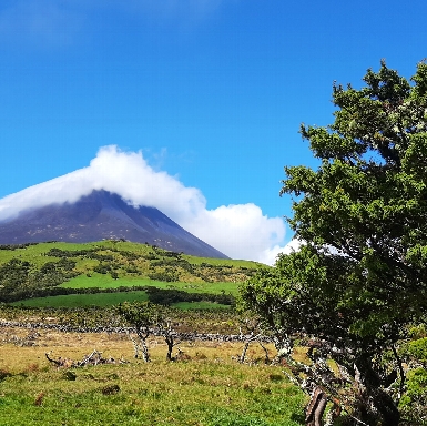 Pico Island, Azores