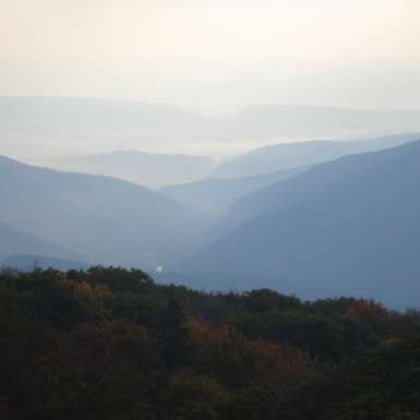 Morning Mist at Dolly Sods North.