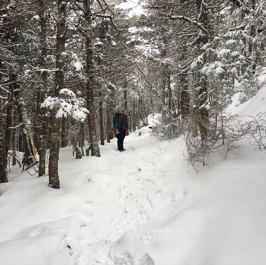 Winter hiking