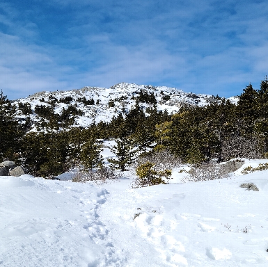 The summit of Mount Monadnock in winter, as seen from a clearing on the White Cross Trail