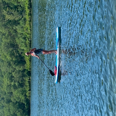 Paddle board