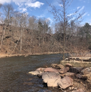 Ralph Stover State Park