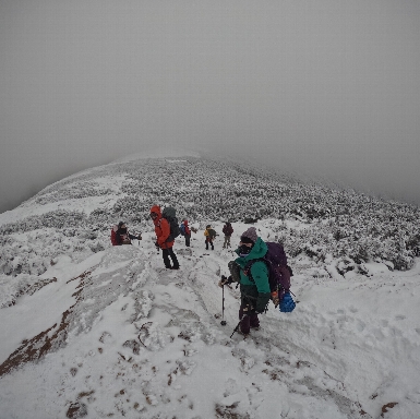 Mount Pierce and Eisenhower via Crawford Path