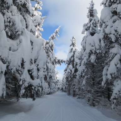 Osceola Cross Country Ski Center