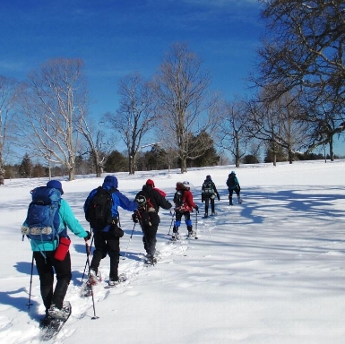 Snow-shoers at Ponkapoag